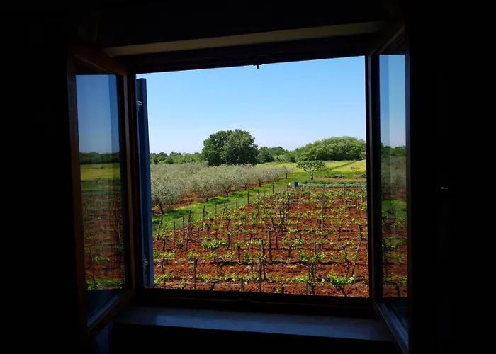 Apartment And Rooms Hacienda Stelio