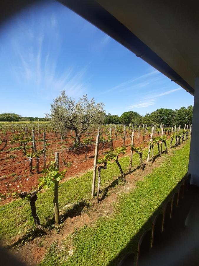 Apartment And Hacienda Stelio