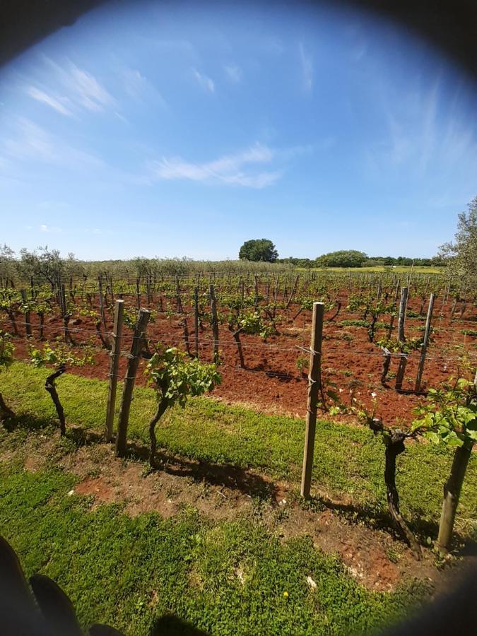 And Hacienda Stelio * Porec