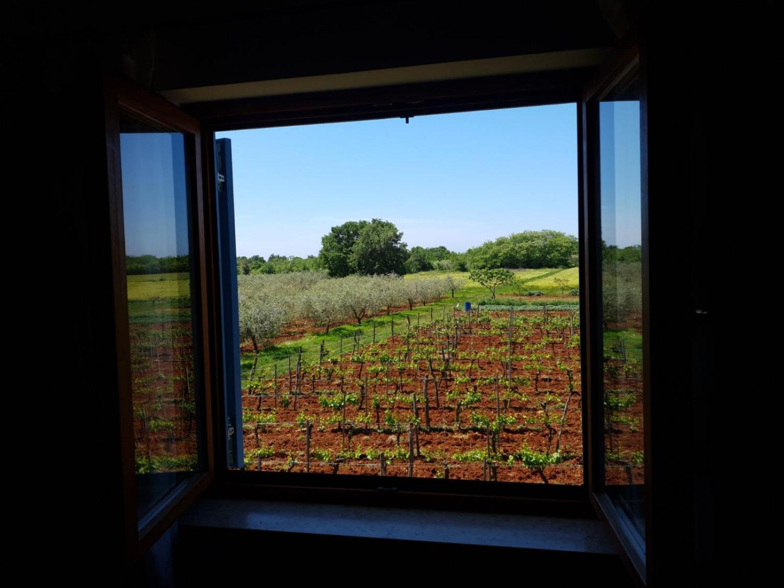 And Hacienda Stelio Apartment Porec