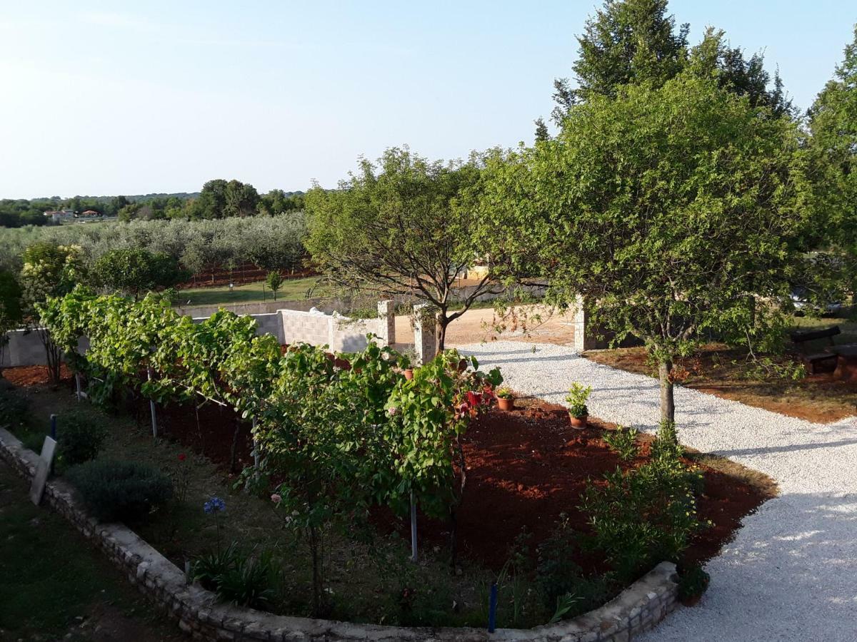 And Hacienda Stelio