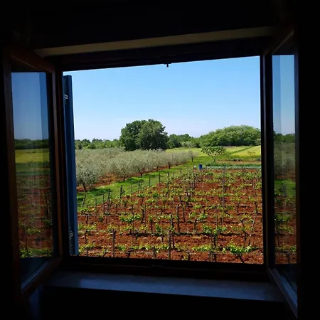 Apartment And Rooms Hacienda Stelio Porec Room photo